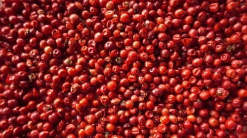 Bright Pile of Red Peppercorns Close Up