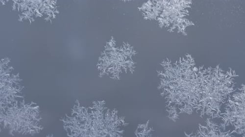 Fractal Ice Crystal Patterns in Close Up