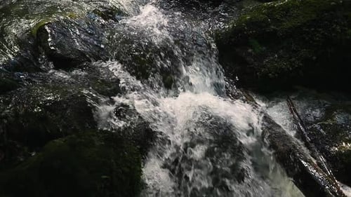 Close up of river stones with flowing water