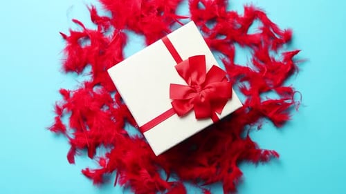 Gift With Bow On Red Feathers