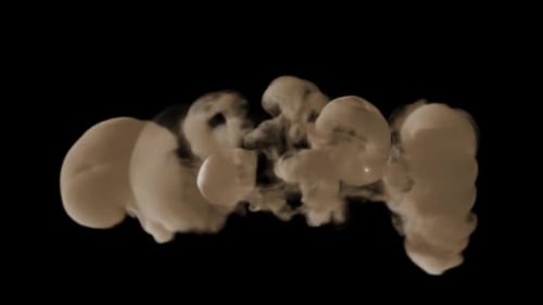Rauch-Cluster 3
