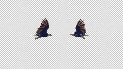 Two American Eagles - USA Flag - Flying Around Loop 4K