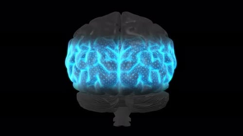 Futuristic Human Brain Scan with Glowing Neural Network
