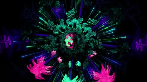 DRACHENRAD NEON