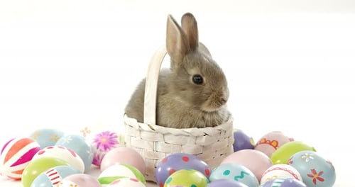 Ostereier und Osterhase im Weidenkorb