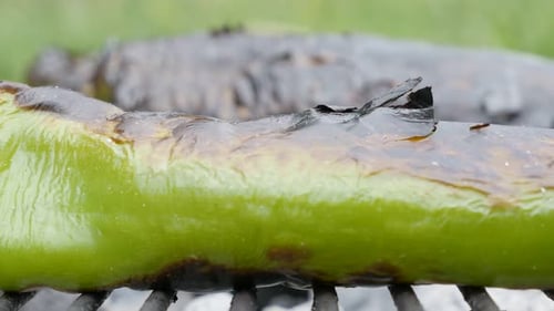 Poivron vert biologique Capsicum annuum à griller sur barbecue en gros plan 4K 2160p UltraHD 30 images par seconde foo