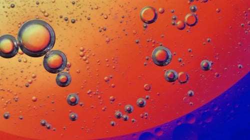 OL bubbles swim on the surface of water and are illuminated from behind with changing light