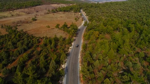 Vehicle Driving On Road In Forest