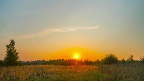 Dawn and rural landscape
