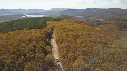 Aerial View of Car Driving Through the Forest in Mountains