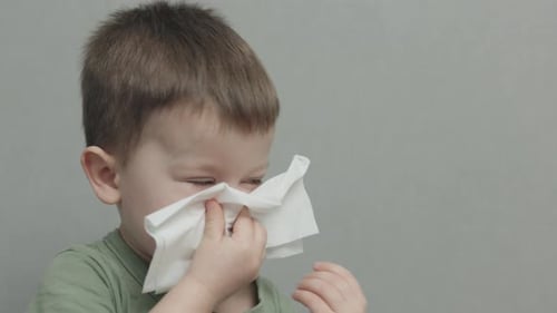 Child Wipes Nose with Tissue Close Up