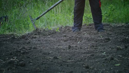 The Farmer Works with a Rake in the Garden