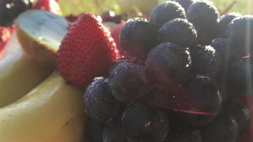 Refreshing Close Up of Colorful Fresh Fruit