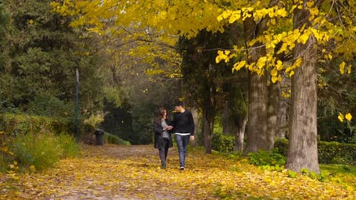 Porträt eines romantischen jungen Paares, das an einem warmen Herbsttag im Park spaziert