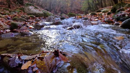 View of the River Flowing From the Mountain Waterfall