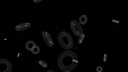 Torus de alambre blanco círculos 3D volando y girando sobre un fondo negro aislado
