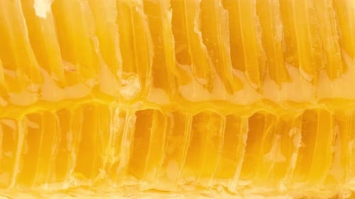 Fresh comb honey background texture