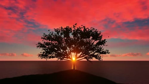 Tree Silhouette