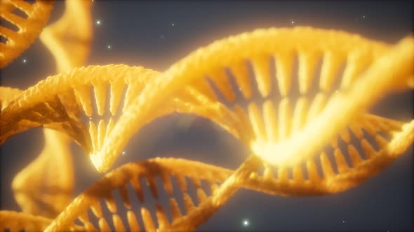 Estrutura helicoidal dupla da fita de DNA Close-up , Animação gráfica ...