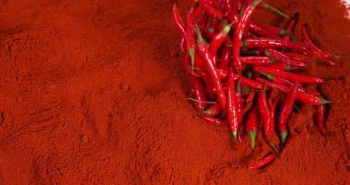 Fresh Red Chili Peppers, capsicum annuum falling on Powder of Red Chili Peppers, Slow Motion 4K