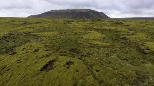 Aerial View of Mossy Lava Field in Iceland