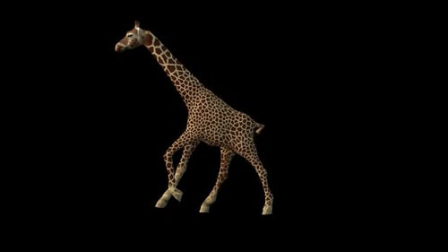 Giraffe Run