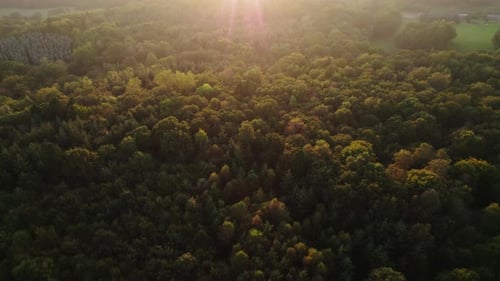 Drohne über Wald im Herbst bei Sonnenuntergang