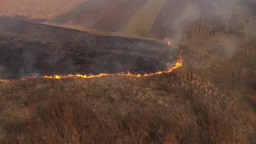 Aerial View of Spring Dry Grass Burning Field. Fire and Smoke in the Meadow, Nature Pollution