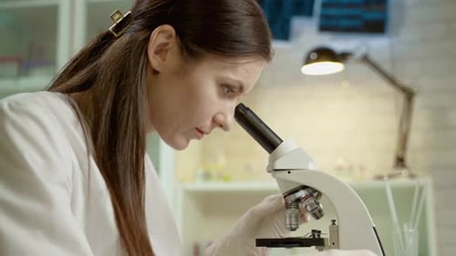 Young Adult Woman Looking Through a Microscope