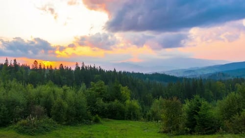The Mountain Forest on Background of Sunset