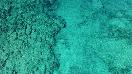 Sea Time is Swim Time