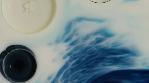 Abstract Blue and White Fluid Mixing Macro Shot