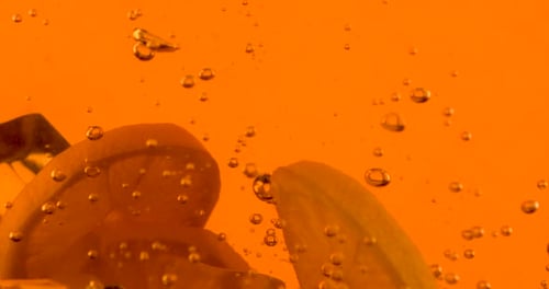 Lemon Slices and Ice Cubes Falling into Drink