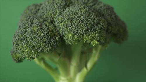 Green fresh broccoli head at green background