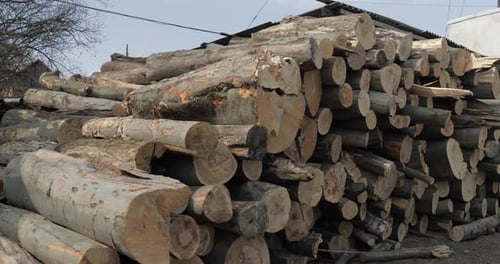 Large Stack of Logs in the Countryside