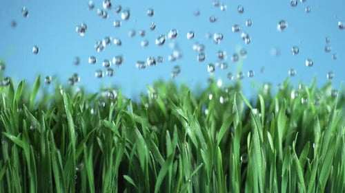 Water falling onto green grass in super slow motion, shot with Phantom Flex 4K