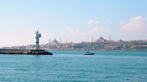 Seagulls Flying over the Sea in Istanbul