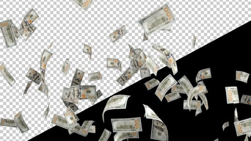 Flying USD Dollar Bills Money Rain Animation