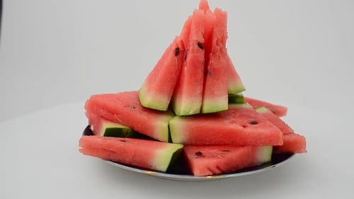 Watermelon 16