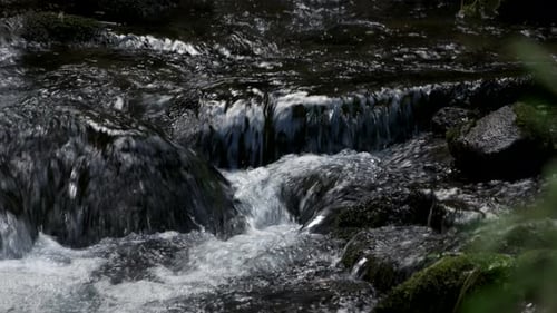Fast Mountain Stream Among Stones