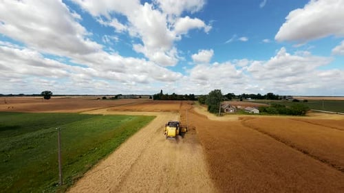 Combine Harvester Harvesting Large Field
