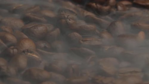 Steaming Roasted Coffee Beans in Close Up