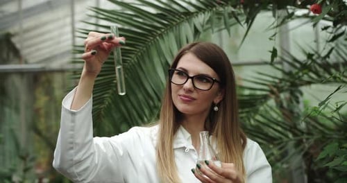 Female Scientist Biologist Researcher Testing Seedling Plant Test Tube Lab