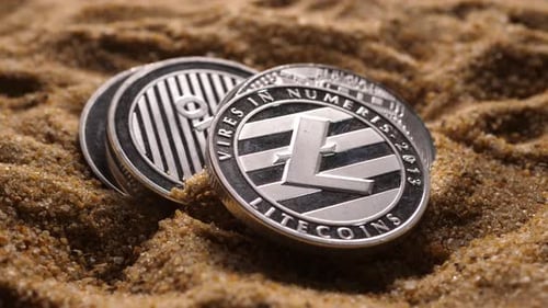 Différents types de cryptomonnaies