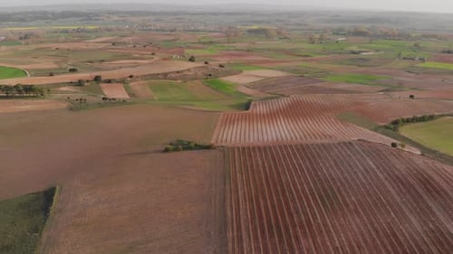 Cultivated field from above