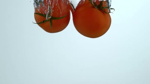 Fresh Tomatoes Falling into Water Creating Bubbles
