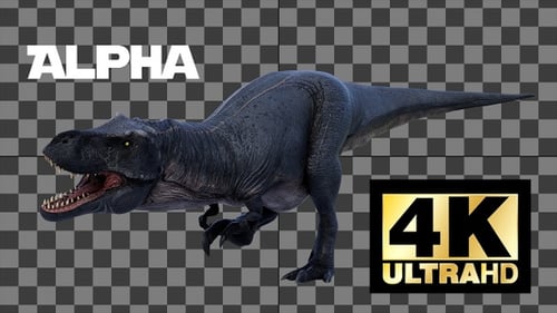 Dinosaur Tyrannosaurus Walk And Roar Loop With Alpha