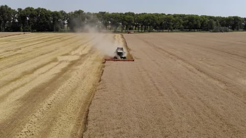 Aerial View of Combine Harvester Mowing Crops in Sunlight