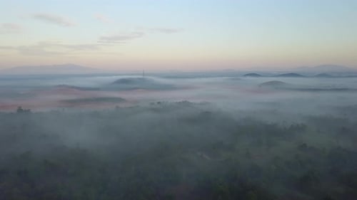 Aerial view of a foggy forest. Green tree near telecommunication tower.