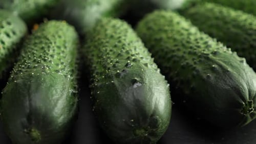 Close Up of Fresh, Green Cucumbers